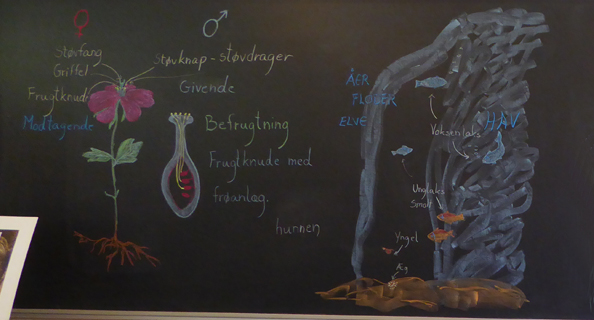 Østskolen - en ualmindelig skole